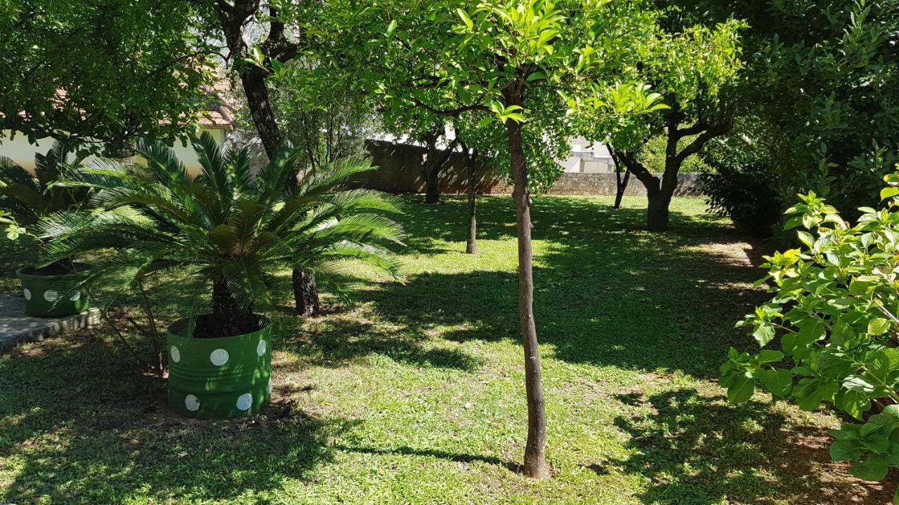 Apartment Angel Kotor Bagian luar foto